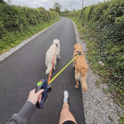 The Flowleash